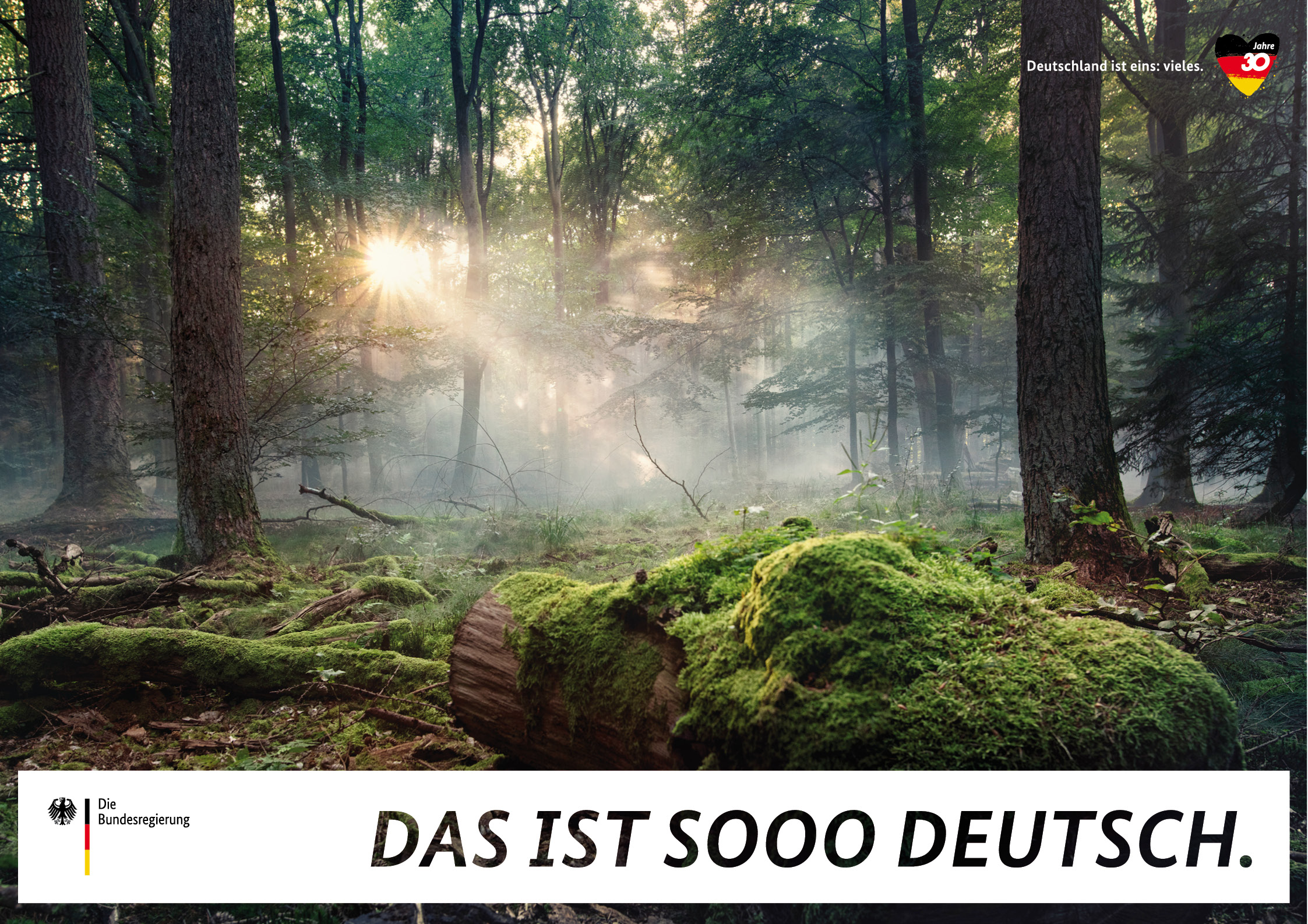 Ein Wald im Sonnenlicht auf einem Plakat der Kampagne "Deutschland ist eins: vieles".
